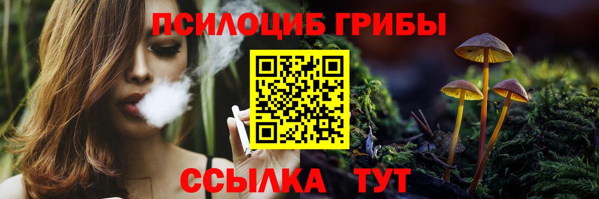 Галлюциногенные грибы Cubensis Улан-Удэ