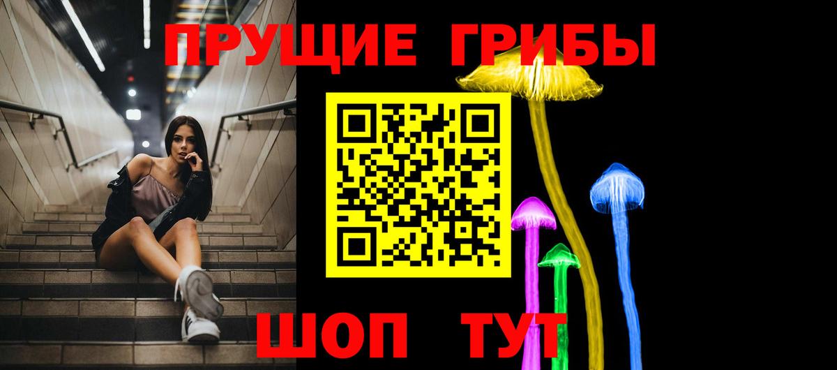 Псилоцибиновые грибы Psilocybine cubensis  Галлюциногенные грибы мицелий  Улан-Удэ 